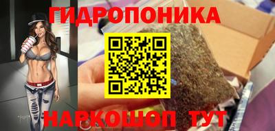 прущие крисы Камышлов