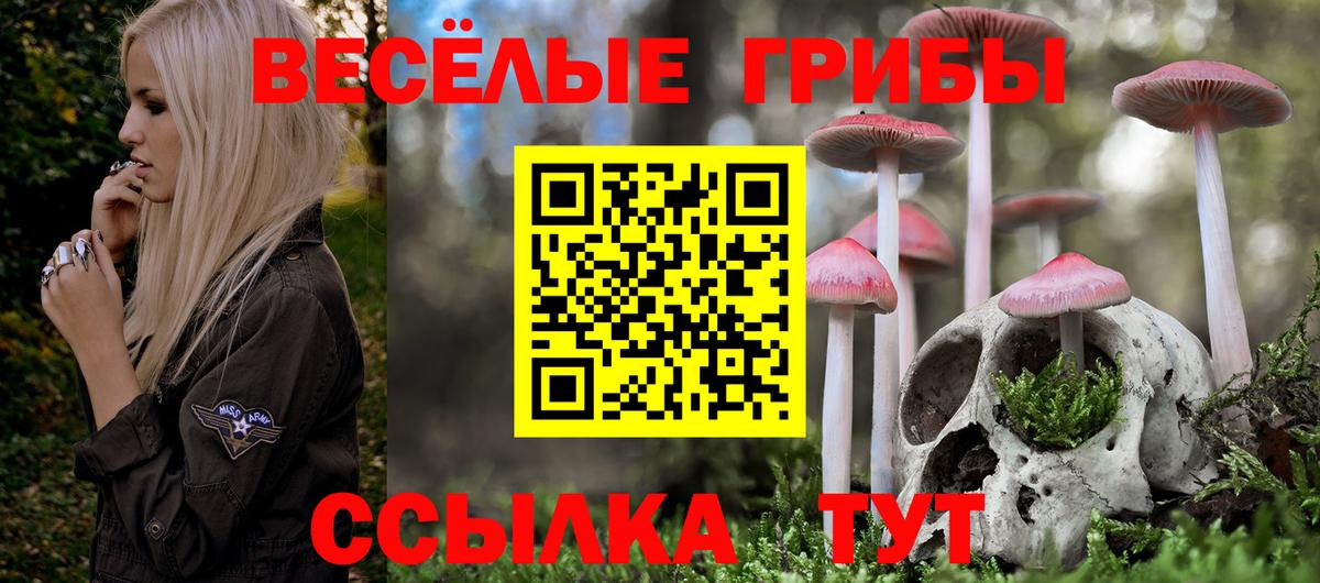 Биробиджан  Галлюциногенные грибы мухоморы  Галлюциногенные грибы ЛСД  Вход с VPN 