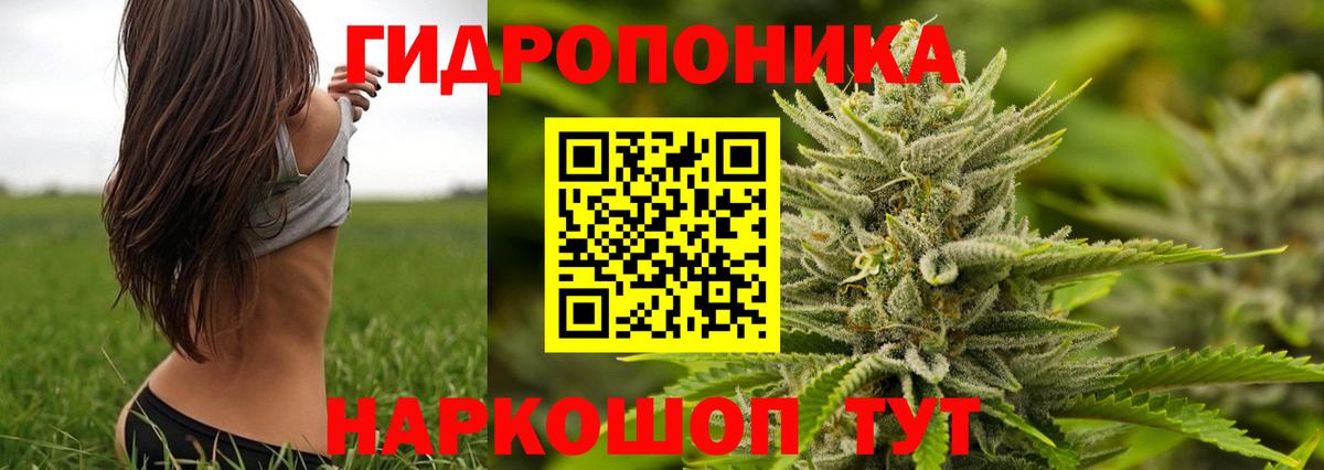 Канабис гибрид  Канабис индика  Вход с VPN  Биробиджан 